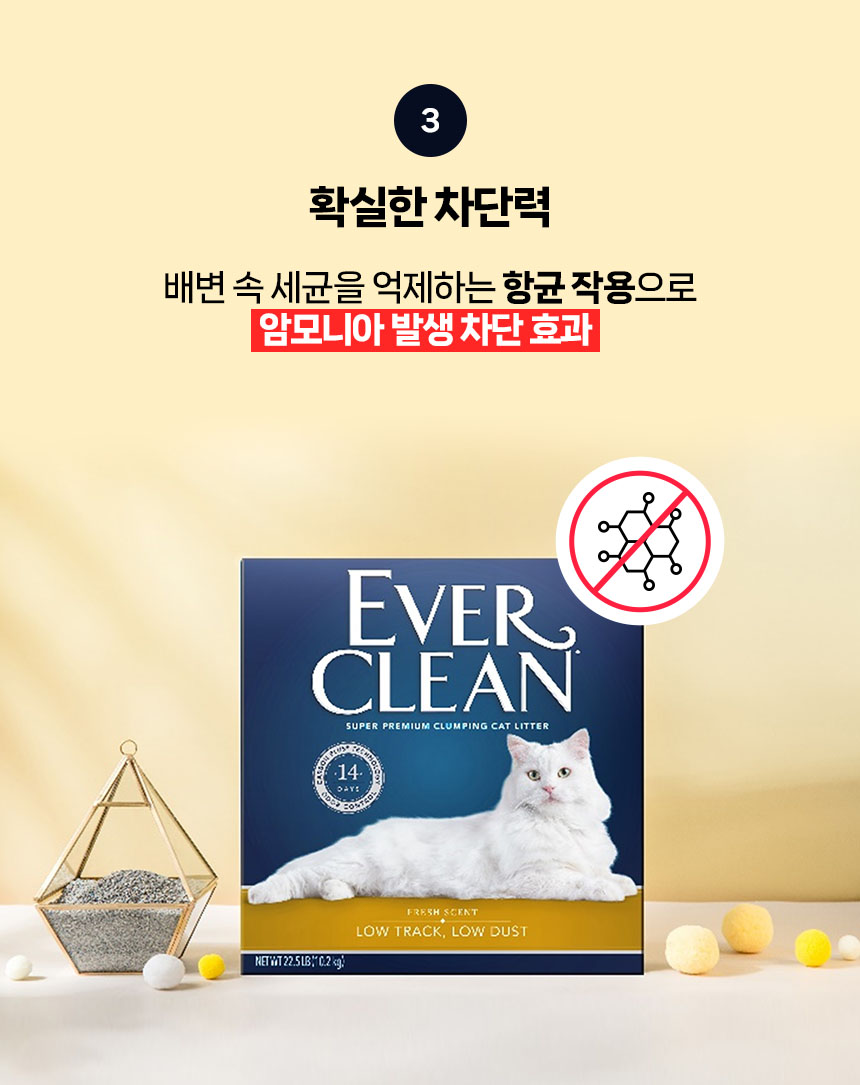 고양이 위생·배변 > 에버크린 고양이모래 ES UN 19kg 엑스트라 스트롱 무향 | 오늘의집 쇼핑 에버크린 고양이모래 ES UN 19kg 엑스트라... 